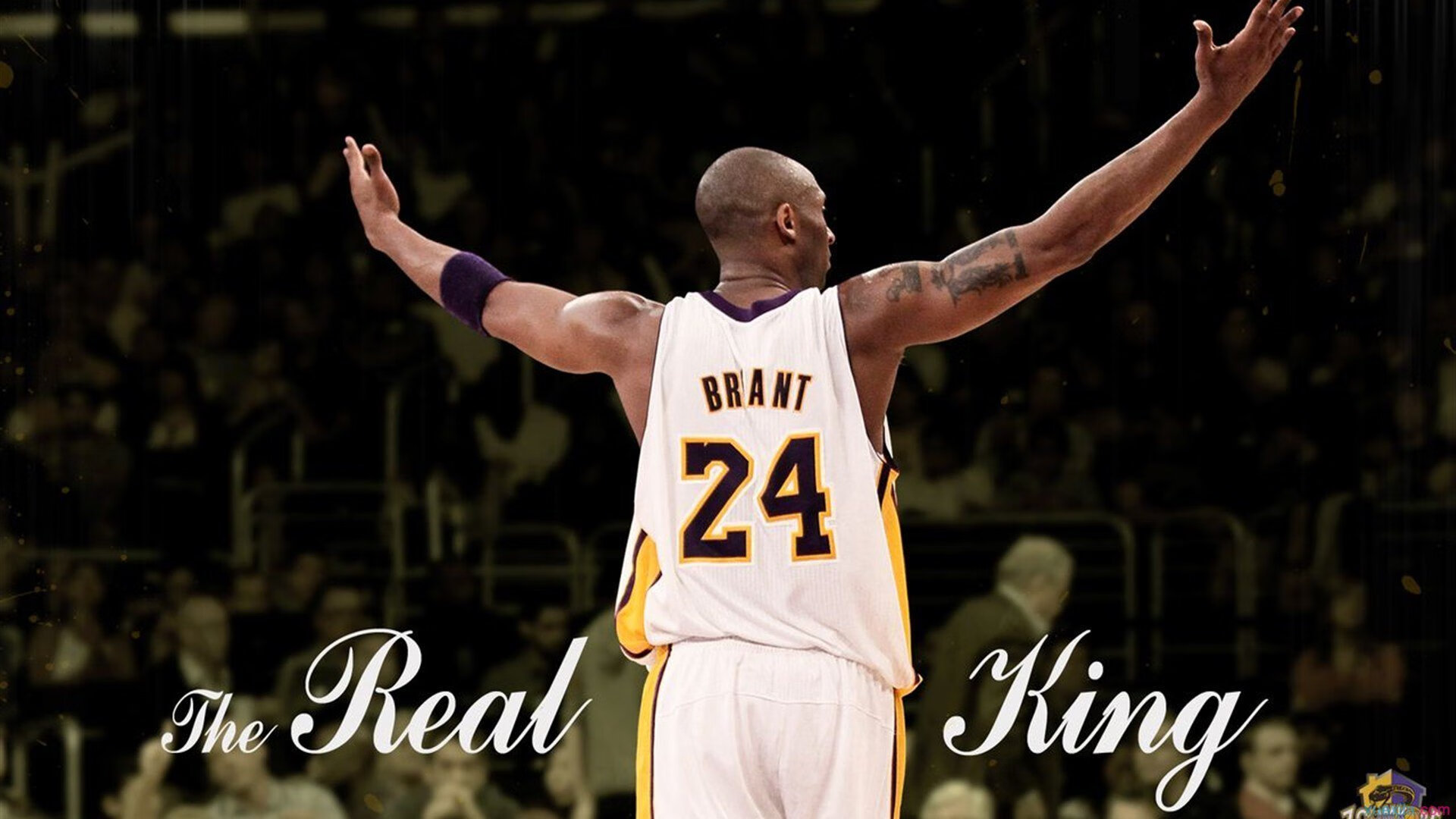 开云体育入口-森林狼完胜浙江队，拉文成为关键先生